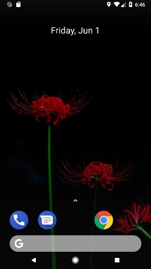 wallpaper